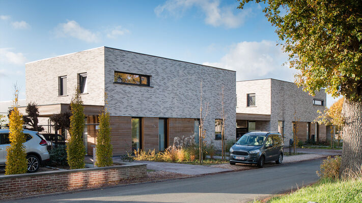 Buurtwinkel en woningen